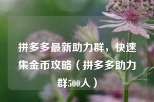 拼多多最新助力群，快速集金币攻略（拼多多助力群500人）  第1张