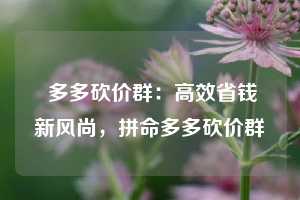  多多砍价群：高效省钱新风尚，拼命多多砍价群 第1张