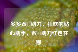  多多双11助力，狂欢的贴心助手，双11助力红包在哪 第1张